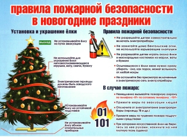 13716626.jpg